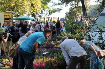 Za nami targi „Jesień w polu i ogrodzie – Kościerzyński Dzień Ziemniaka”